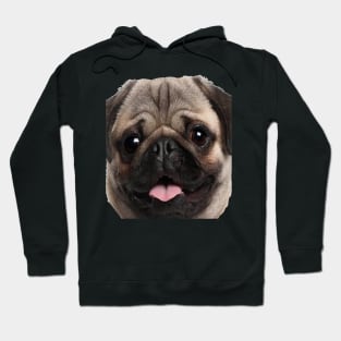 Funny Cute Pug Dog Illustration Gift Idea For Family Hoodie